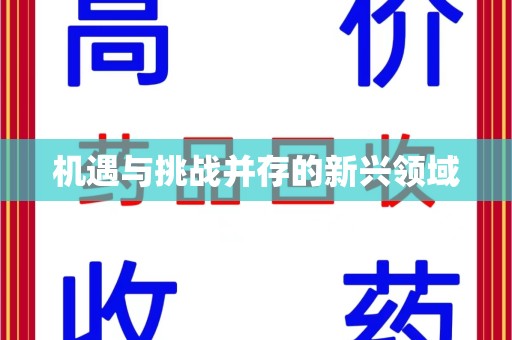 许昌机遇与挑战并存的新兴领域