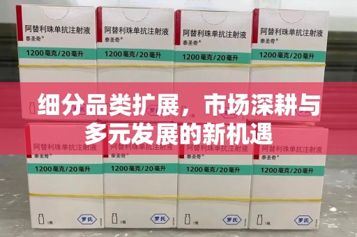 许昌细分品类扩展，市场深耕与多元发展的新机遇
