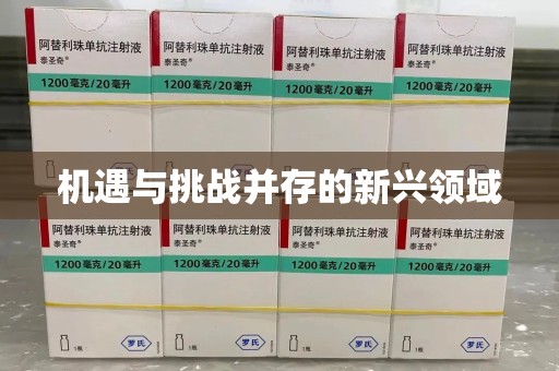 许昌机遇与挑战并存的新兴领域