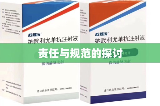 许昌责任与规范的探讨